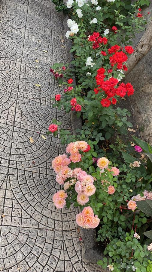 فيلا Casa Delle Rose كاتانيا المظهر الخارجي الصورة